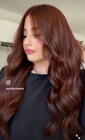 Lucy Negrete's Instagram, Twitter & Facebook