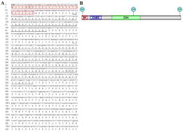 Are you asking for google reviews from your customers? Ijms Free Full Text Immune Functional Analysis Of Chitin Deacetylase 3 From The Asian Citrus Psyllid Diaphorina Citri Html