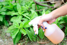 These home remedies will have you using cayenne pepper, citrus oil, baking soda, lemon juice, pepper spray, and distilled white vinegar for carpet, for furniture, and for lawns. How To Get Rid Of Animal Pests With Hot Pepper Spray 11 Steps