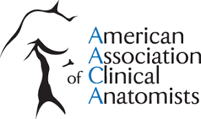 American Association Of Clinical Anatomists Aaca Our Journal Clinical Anatomy
