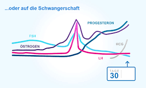 Menstruationszyklen Perioden Und Eisprung Verstehen Clearblue