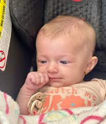 Visitors at Palm Harbor Homes today