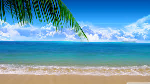 תמונה קשורה