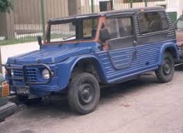 Image result for Brun Guaranja 2011 Citroen