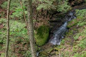 Maybe you would like to learn more about one of these? 11 Awesome Things To Do In Oil Creek State Park Uncovering Pa