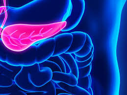 Pancreatic cancer: Symptoms, causes, and treatment