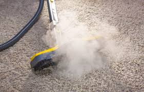How To Kill Mold In Carpet In 10 Easy Steps Home Vacuum Zone
