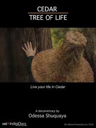 Find 73 listings related to cedar tree inc in uptown on yp.com. Cedar Tree Of Life Short 2018 Imdb