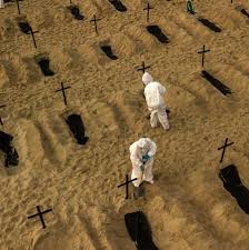Their eggs, called nits, attach to hair. Brazil President Embraces Unproven Cure As Pandemic Surges The New York Times