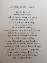 Poem By Mary Oliver I Love It So Mary Oliver Poems Mary Oliver Quotes Sweet Quotes