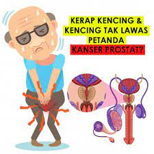 Bagi mengurangkan dan mengatasi masalah kencing tidak lawas, berikut adalah petua yang dapat. My Sihat Sokmo Jus Herba Untuk Kencing Tak Lawas Prostat Facebook