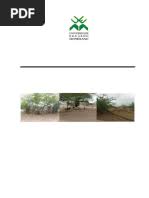 Image result for Eriochloa macclounii