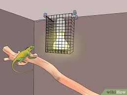 There are 10 common styles of reptile enclosure in the reptile hobby, but only one can can reign supreme. How To Build A Reptile Cage 12 Steps With Pictures Wikihow