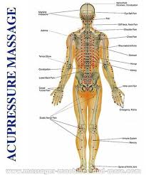 Pressure Points On Arms Google Search Reflexology
