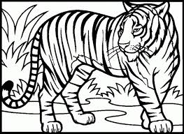 There are tiger coloring sheets such as many children love to play tiger characters in a drama, they like to draw and paint these animals. Animal Coloring Pages For Kids Tiger Novocom Top