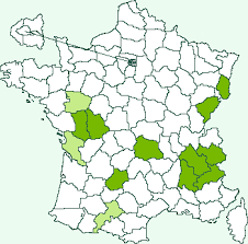 Image result for Setina roscida