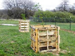 Thinking Within The Box How To Protect Newly Planted Trees From Goats With Pallets Dream Backyard Farm Plans Fruit Trees