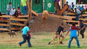 watch bull run full episode irt deadliest roads history irt deadliest roads