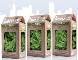Three Produce Companies With Packaging That Looks So Good You D Eat It Vegetable Packaging Organic Food Packaging Organic Packaging