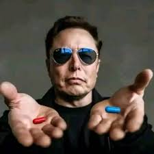 Car enthusiasm is about joy, not competition