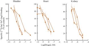 Rue de l'ile monsin 4020 liege. Bladder Angiotensin Ii Receptors Characterization And Alteration In Bladder Outlet Obstruction European Urology