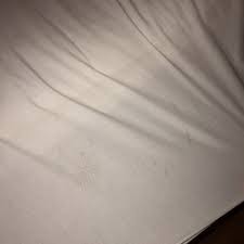 Check spelling or type a new query. Red Roof Inn Ashland 17 Photos Hotels 103 N Carter Rd Ashland Va Phone Number