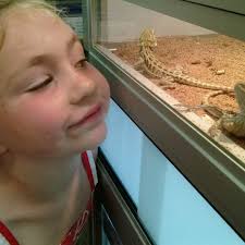 Maybe you would like to learn more about one of these? Village Pets Supplies Santa Rosa Ca