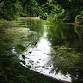 Watershed/Wetlands tour of the Arboretum event image