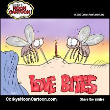 Wait for all hard and soft. Pin On Corky S Noon Cartoons