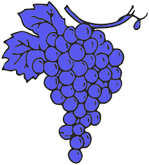 Here you can explore hq green grapes transparent illustrations, icons and clipart with filter setting like size, type, color etc. Colorful Grapes Svg Picture