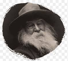 O Captain My Captain Essay Poetry Extended Metaphor Walt Whitman Essay Vehicle Png Pngegg