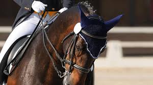 Rodrigo fernández de castro (died after 1144), called the bald (el calvo), was a castilian nobleman and soldier. Toquio2020 Equipa Portuguesa E Rodrigo Torres Apurados Para As Finais De Ensino Noticias De Coimbra