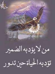 pin by hamid amine on photography arabic quotes perfection quotes arabic love quotes