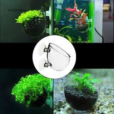 Whether you are setting up your first aquascape or you are an experienced hand, we have a wide range of aquarium aquascaping supplies and equipment for your fish tank. Hanging Planter Acrylic Pot Holder For Aquarium Aquascaping Fish Tank Decorations Pet Supplies
