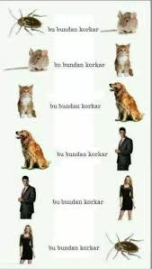 Hayat Dongusu Komik Komik Goruntuler Komik Seyler