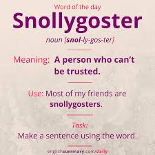 Snollygoster Meaning Pronunciation And Example Wordoftheday Interesting English Words English Vocabulary Words English Words
