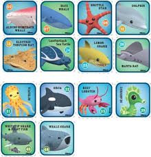 octonauts creature chart related keywords suggestions