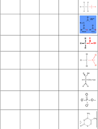 Ap Biology Functional Groups Chart Part 4 Diagram Quizlet