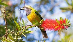 Looking for things to do in fraser island? 5 Things To Do In Fraser S Hill For A Relaxing Tour In Malaysia