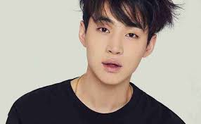 Henry jure qu'il n'est jamais sorti avec des filles depuis ses débuts en  2008