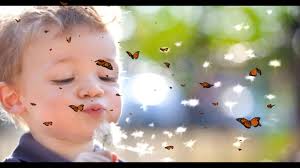 Berlin I Fuochi di Tegel