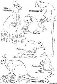 Printable Australian Animals Coloring Pages Printable Coloring Pages For Kids Australia Animals Australian Animals Australian Native Animals
