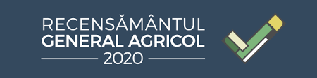 Comunicat Indicele Preturilor De Consum Institutul Național De Statistică