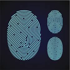 3.01 Fingerprints
