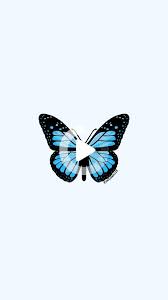 Light Blue Butterfly Blue Butterfly Butterfly Drawing Wallpaper Backgrounds