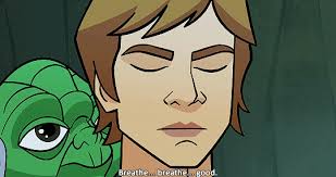 SON OF SKYWALKER — Star Wars: The Forces of Destiny