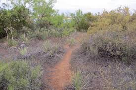 The town of lake city is the statutory town that is the county seat and the only incorporated municipality in hinsdale county, colorado, united states. Trail Lake Colorado City State Park Colorado City Tx August 2020 Picture Of Lake Colorado City State Park Tripadvisor