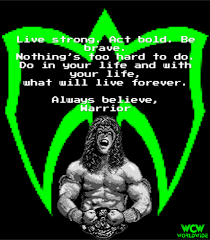 Share motivational and inspirational quotes by the ultimate warrior. Wwf Ultimate Warrior Quotes Quotesgram