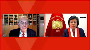 | una presidenta de la convención constitucional. Presidenta Del Tc Marianella Ledesma Propone Un Tribunal Constitucional De Todas Las Voces Gobierno Del Peru