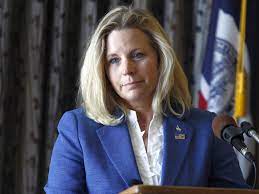 She has since made her posts private. Gay Marriage Remarks Spark Cheney Family Feud It S All Politics Npr